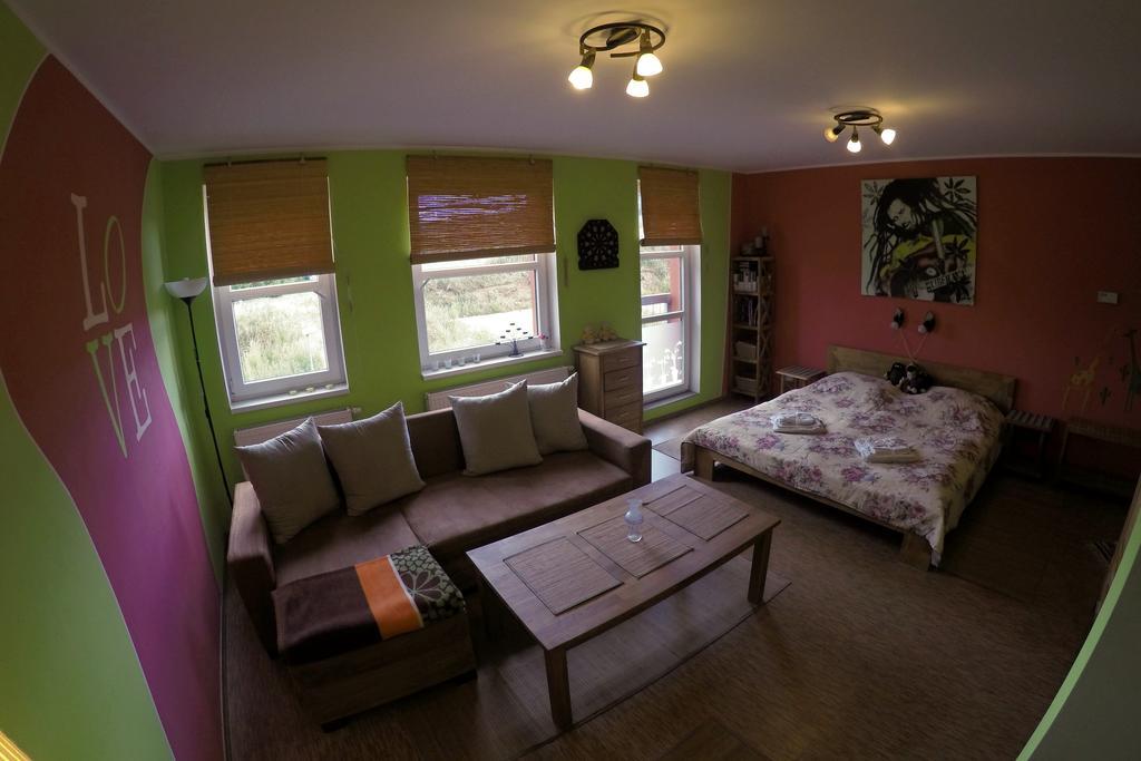 Studio Krusne Hory Klinovec Лоучна-под-Клиновцем Номер фото