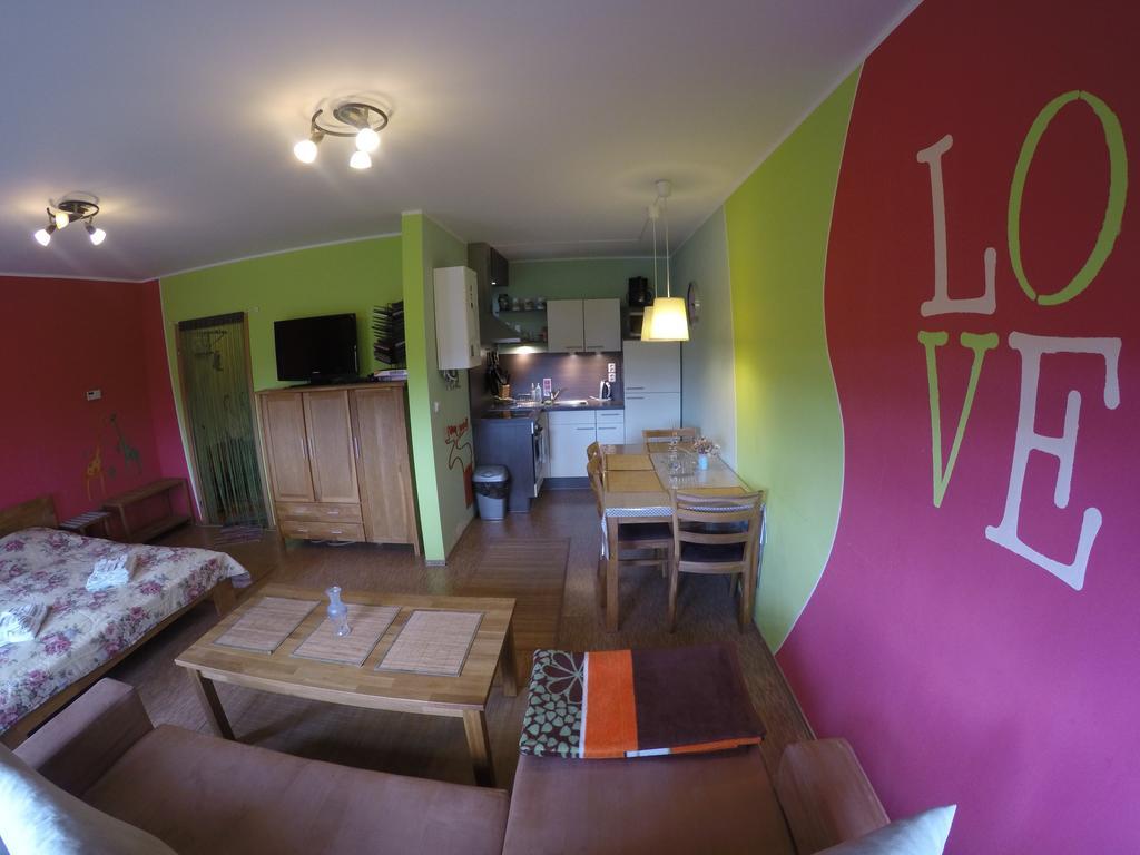 Studio Krusne Hory Klinovec Лоучна-под-Клиновцем Номер фото