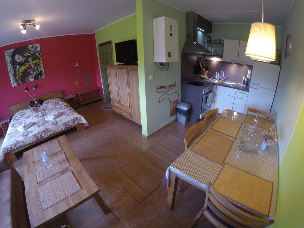 Studio Krusne Hory Klinovec Лоучна-под-Клиновцем Номер фото